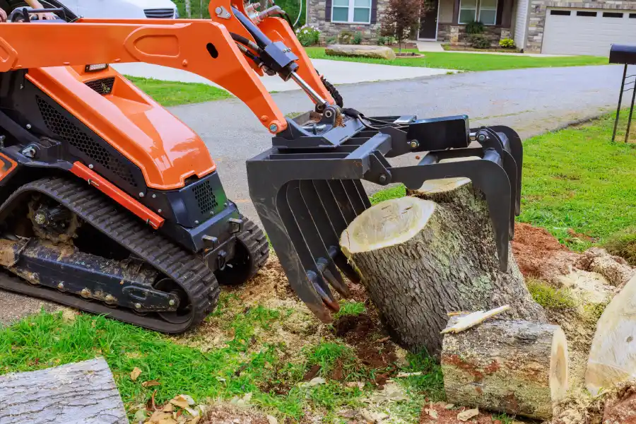 Stump Removal